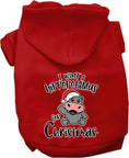 Load image into Gallery viewer, Christmas Pet Hoodie "I Want A Hippopotamus For Christmas"
