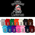 Load image into Gallery viewer, Christmas Pet Hoodie "I Want A Hippopotamus For Christmas"
