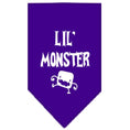 Load image into Gallery viewer, Halloween Pet and Dog Bandana Screen Printed, "Lil Monster"
