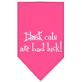 Load image into Gallery viewer, Halloween Pet and Dog Bandana Screen Printed, "Black Cats are Bad Luck"
