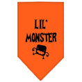 Load image into Gallery viewer, Halloween Pet and Dog Bandana Screen Printed, "Lil Monster"
