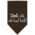 Load image into Gallery viewer, Halloween Pet and Dog Bandana Screen Printed, "Black Cats are Bad Luck"
