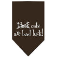 Load image into Gallery viewer, Halloween Pet and Dog Bandana Screen Printed, "Black Cats are Bad Luck"
