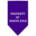 Load image into Gallery viewer, Christmas Pet and Dog Bandana Screen Printed, "Property Of North Pole"
