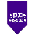 Load image into Gallery viewer, Thanksgiving Pet and Dog Bandana Screen Printed, "Be Thankful For Me"
