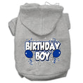 Load image into Gallery viewer, Pet, Dog & Cat Hoodie Screen Printed, "Birthday Boy"
