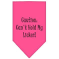 Load image into Gallery viewer, Pet and Dog Bandana Screen Printed, "Caution: Can't Hold My Licker"
