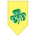 Load image into Gallery viewer, Pet and Dog Bandana Screen Printed, "Irish Pup"
