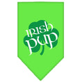 Load image into Gallery viewer, Pet and Dog Bandana Screen Printed, "Irish Pup"
