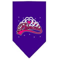 Load image into Gallery viewer, Pet and Dog Bandana Screen Printed, "I'm A Princess"
