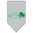 Load image into Gallery viewer, Pet and Dog Bandana Screen Printed, "Proud To Be Irish"
