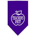 Load image into Gallery viewer, Pet and Dog Bandana Screen Printed, "Teachers Pet"

