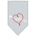 Load image into Gallery viewer, Pet and Dog Bandana Screen Printed, "XOXO"
