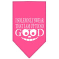 Load image into Gallery viewer, Pet and Dog Bandana, "I Solemnly Swear That I Am Up To No Good"
