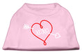 Load image into Gallery viewer, Pet Dog & Cat Shirt Screen Printed, "XOXO"
