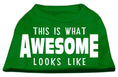 Load image into Gallery viewer, Pet Dog & Cat Shirt Screen Printed, "This Is What Awesome Looks Like"
