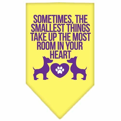 Pet and Dog Bandana, "The Smallest Things Take Up Your Heart"