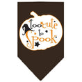 Load image into Gallery viewer, Halloween Pet and Dog Bandana Screen Printed, "Too Cute To Spook"
