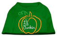 Load image into Gallery viewer, Halloween Pet Dog & Cat Shirt Screen Printed, "Lil Punkin"
