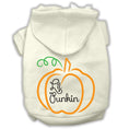 Load image into Gallery viewer, Halloween Pet Hoodie Screen Printed, "Lil Punkin"
