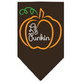 Load image into Gallery viewer, Halloween Pet and Dog Bandana Screen Printed, "Lil Punkin"
