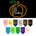 Load image into Gallery viewer, Halloween Pet and Dog Bandana Screen Printed, "Lil Punkin"
