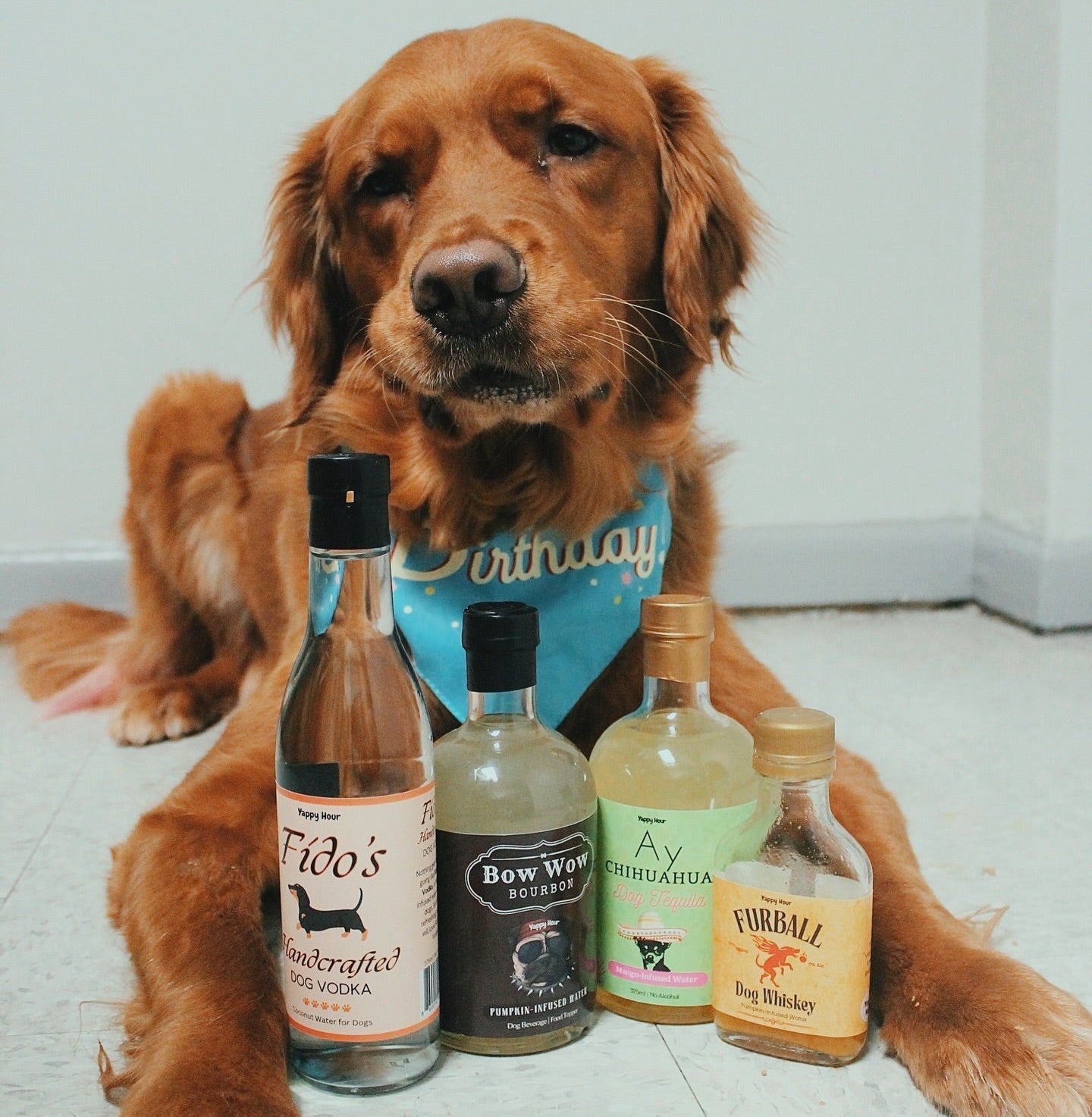 Fido's Handcrafted Coconut Dog Water