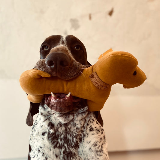 Yellow cotton dog gift toy