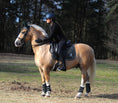 Load image into Gallery viewer, Jade Green Saddle Pad Set
