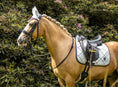 Load image into Gallery viewer, Royal Silver Fly Hat
