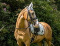 Load image into Gallery viewer, Royal Silver Fly Hat by Southlake Paws displayed on a horse, featuring a sleek silver design and elegant detailing.
