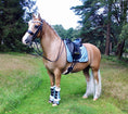 Load image into Gallery viewer, Baby Blue Bell Boots by Southlake Paws on a horse standing in a grassy field, wearing a matching saddle pad and bridle.
