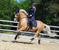 Load image into Gallery viewer, Deep Sapphire Saddle Pad Set
