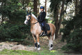 Load image into Gallery viewer, Southlake Paws Jade Green Boots worn by a rider on a horse in a forested area, surrounded by trees and greenery.
