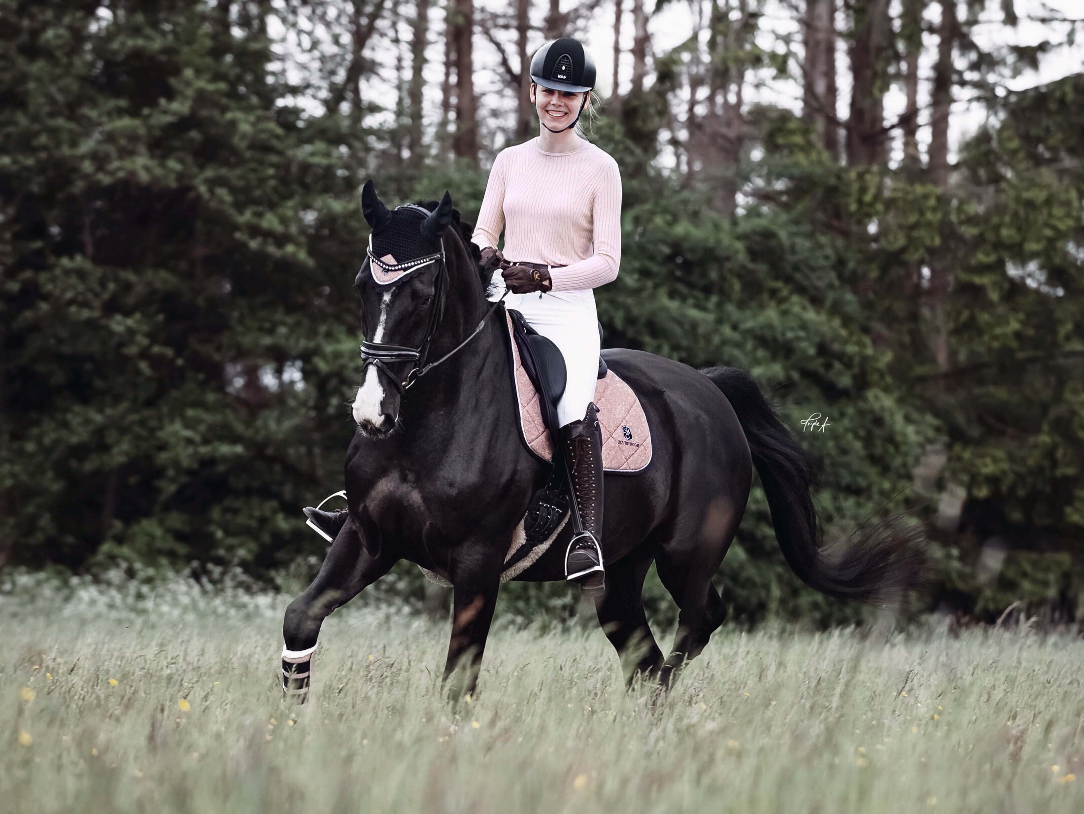 Southlake Paws Rose Quartz Saddle Pad on a black horse, rider in a light sweater and helmet, trotting in a grassy field.
