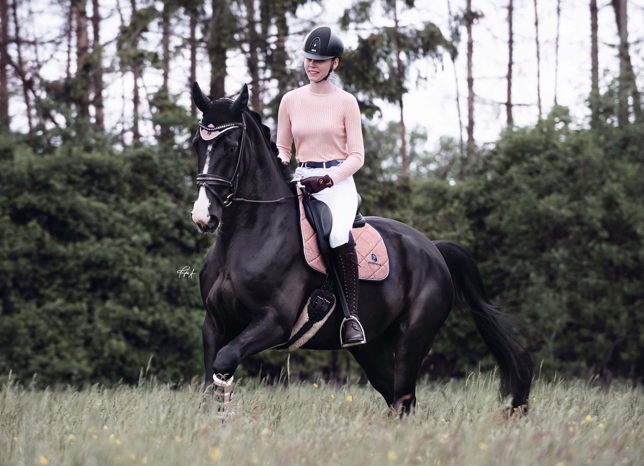 Southlake Paws Rose Quartz Saddle Pad displayed on a black horse, rider in a light sweater and helmet, riding in a grassy fie