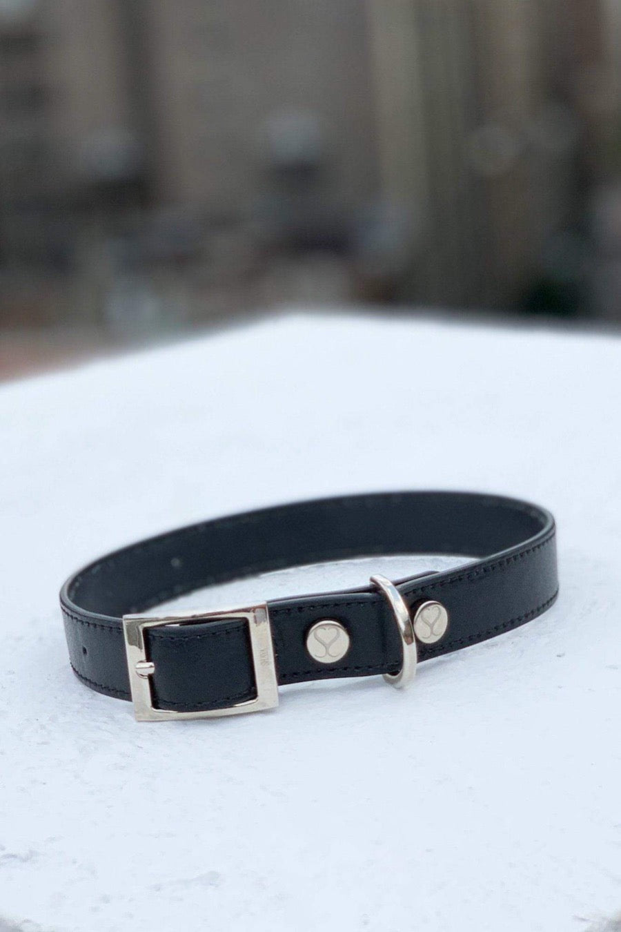The Taylor Collar - Black Leather - Southlake Paws
