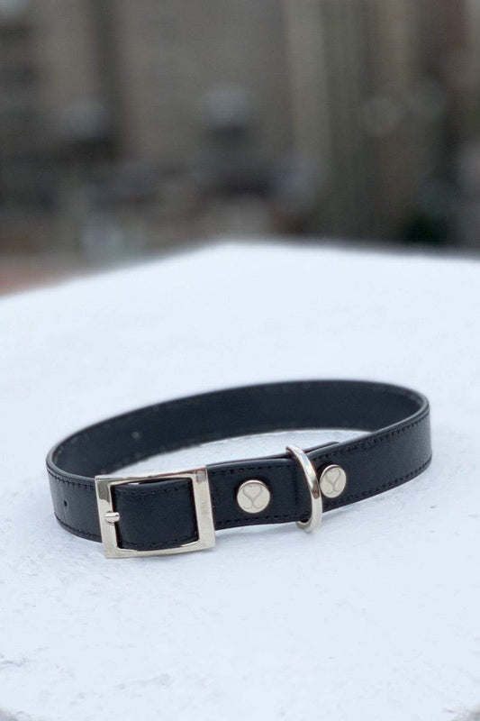 The Taylor Collar - Black Leather - Southlake Paws
