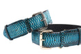 Load image into Gallery viewer, Turquoise, Black Snake Classic Collar With Silver & Gold Classic Hardware Set Of 2

