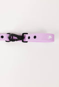 Load image into Gallery viewer, The Modern Dog Company - Blush Pink Leash
