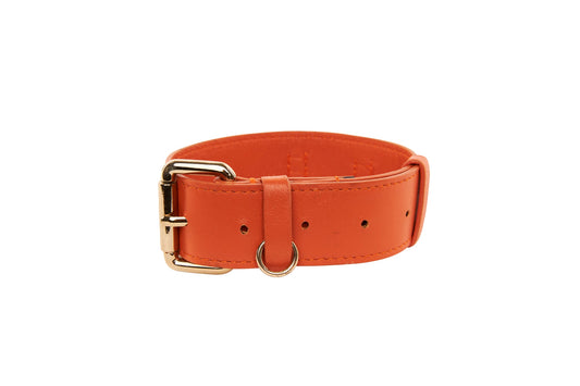 Small Orange Italian Leather Classic Collar