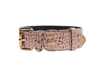 Pink, Purple & Silver Embossed Croc Italian Leather/Classic Collar