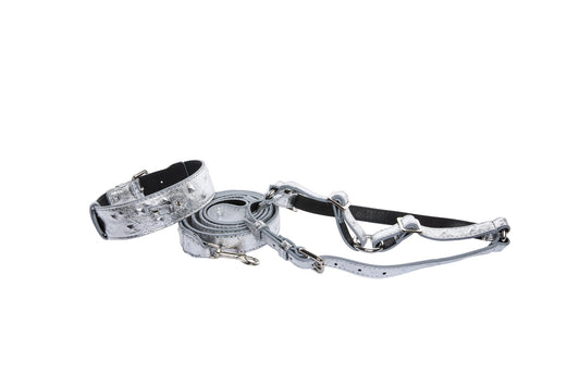 Silver Studded Italian Leather Classic Collar, Leash, Harness Set