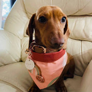 The Happy Days Scarf