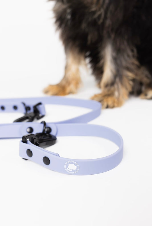 Lavender purple adjustable dog leash from The Modern Dog Company by Southlake Paws, featuring a black clasp and logo.