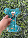 Load image into Gallery viewer, The Modern Dog Company - Camping Harness
