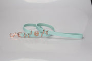 Leather Dog Lead (only) - Aquamarine
