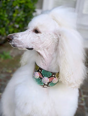 Multi-Color Embossed Snake Italian Leather Wide Style Collar With Custom Swarovski Crystal Rivets