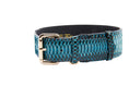 Load image into Gallery viewer, Turquoise, Black Snake Classic Collar With Silver & Gold Classic Hardware Set Of 2
