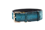 Turquoise, Black Snake Classic Collar With Silver & Gold Classic Hardware Set Of 2